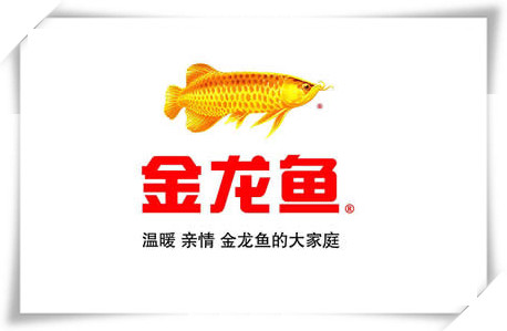 金龙鱼集团